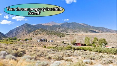 108 Toquima Way, Austin, NV 89310 - photo 4