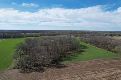 Off Pintail Rd unit Lot WP002, Tamaroa, IL 62888 - photo 5