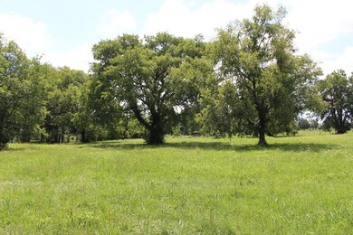 3886 Manchester Pike, Murfreesboro, TN 37127 - photo 7