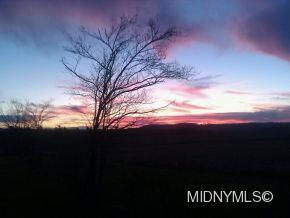 View from sunroom