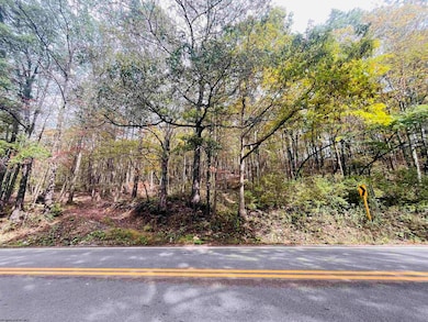 33213 Veterans Memorial Hwy, Terra Alta, WV 26764 - photo 3