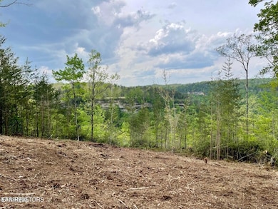 Bluff Views
