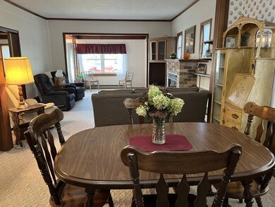 260 2nd Ave W, Echo, MN 56237 - photo 4