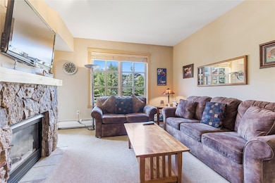 910 Copper Rd unit 219, Frisco, CO 80443 - photo 2