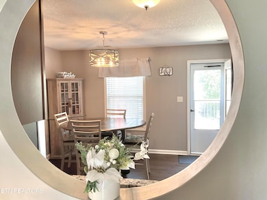 2109 Connor Isaac Ln, Mascot, TN 37806 - photo 6