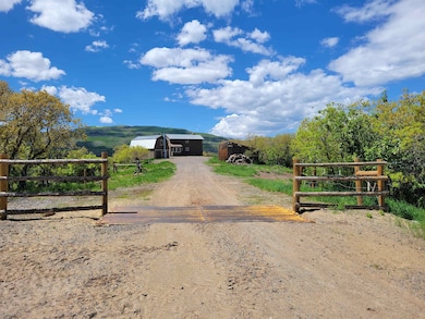 6645 64 6 10 Rd, Collbran, CO 81624 - photo 2