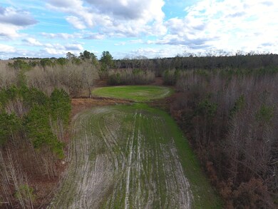 DJI_0058
