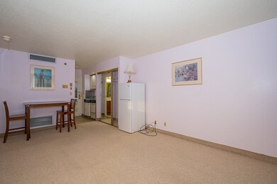 Madison Tower Condominimums unit 1013, Worcester, MA 01608 - photo 3