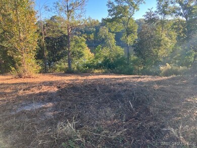Lot 1 Sunshine Rd, Andalusia, AL 36421 - photo 5