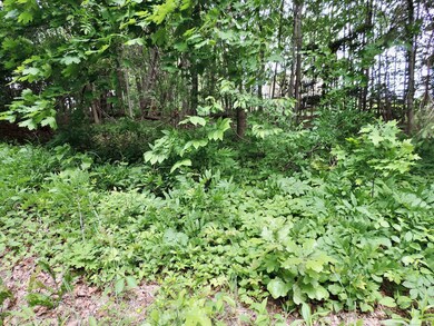 Looking at lot from Bobby's Rd.