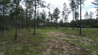 9118 Pine Preserve Ln unit LOT 21, Jay, FL 32565 - photo 3