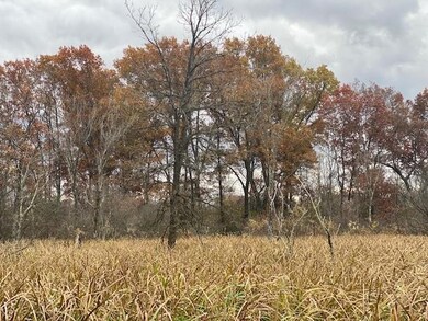 40 Acres Dragonfly Rd, Tomah, WI 54660 - photo 7