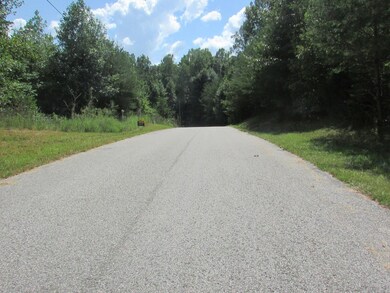 24 Hidden River Ln, Spencer, TN 38583 - photo 4