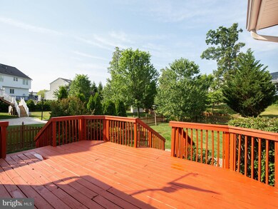 420 Lilys Way, Winchester, VA 22602 - photo 5