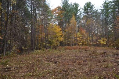 0 Bridle Rd unit 19, Antrim, NH 03440 - photo 4