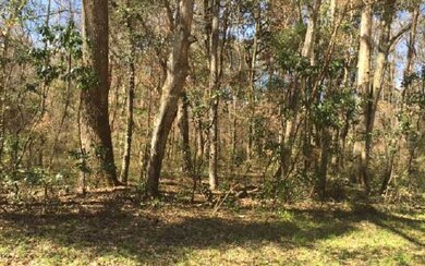 .TBD Bumble St, Fort White, FL 32038 - photo 2