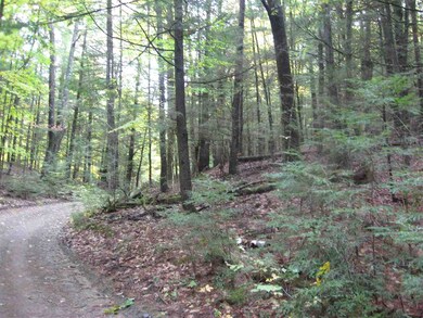 23 Wetherbee Rd, Lyman, NH 03585 - photo 6