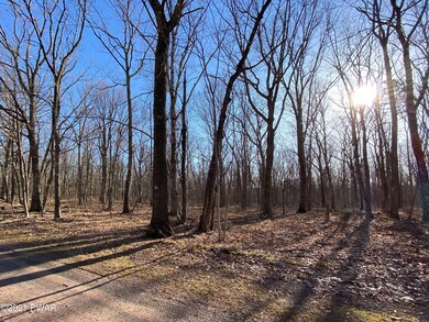 Lot 104 Mountain Top Rd, Lackawaxen Township, PA 18435 - photo 3