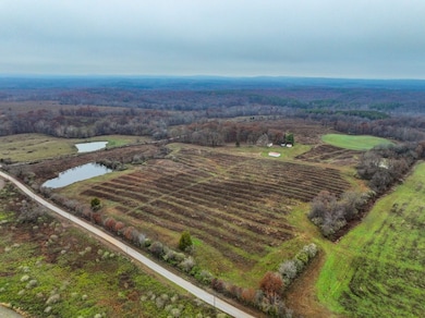 170 Decker Springs Rd, Elizabethtown, IL 62946 - photo 3