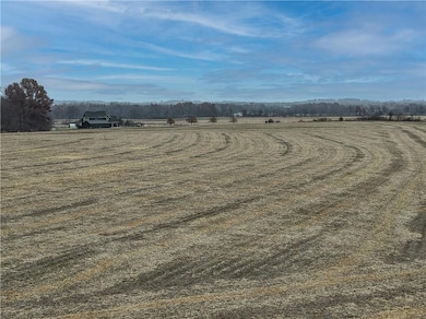 Tract 3 S Pryor Rd, Pleasant Hill Township, MO 64080 - photo 6