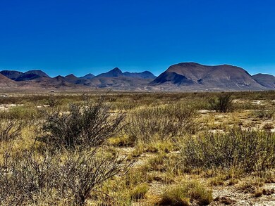 TR:9037 Highlander Ave, Terlingua, TX 79852 - photo 7