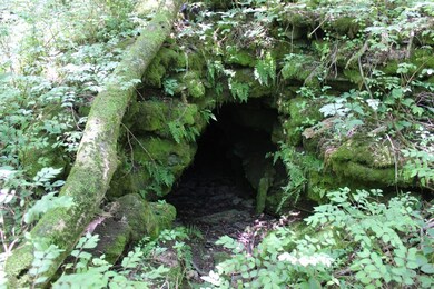 THE CAVE ON THE PROPERTY WAS USED BY ONE OF THE OWNERS GREAT GRANDPARENTS TO STORE FLOUR IN THE WINTER