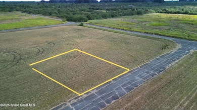 2481 Sesban Ave SW, Palm Bay, FL 32908 - photo 5