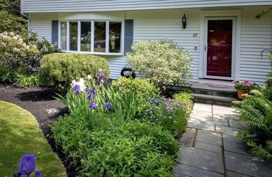 37 Carter Dr, Framingham, MA 01701 - photo 3