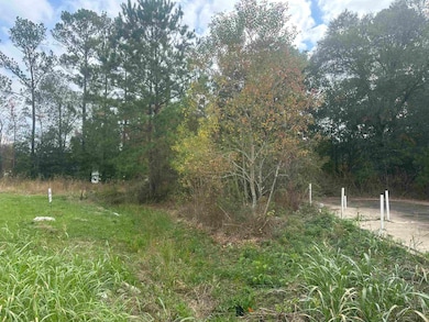 0 Landon Rd, Orange, TX 77632 - photo 2