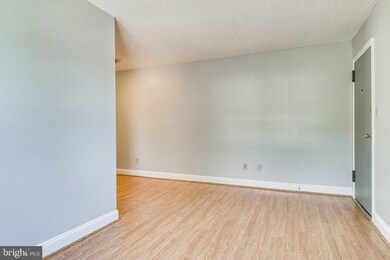 2305 Farrington Ave unit 301, Alexandria, VA 22303 - photo 6