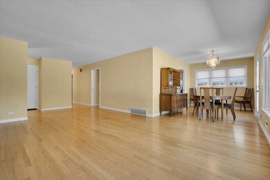 914 Jeannette St, Des Plaines, IL 60016 - photo 4