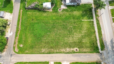 601 S Main St, Pleasant Hill, IL 62366 - photo 6