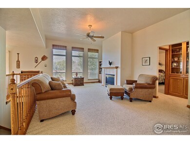 Gorgeous Floor to Ceiling Windows