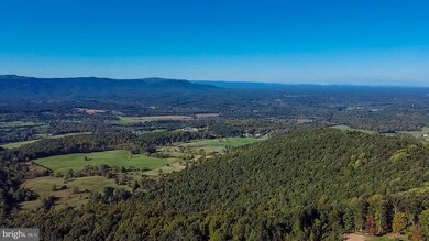 737 Seven Oaks Dr, Bentonville, VA 22610 - photo 6