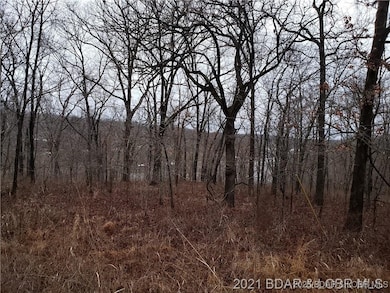 29991 & 29992 Guccione Place, Union Township, MO 65326 - photo 4