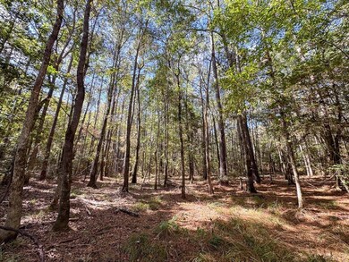 Mendez Rd, Willis, TX 77378 - photo 3