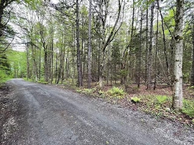 0 Honeycomb Hill, Marlboro, VT 05301 - photo 3