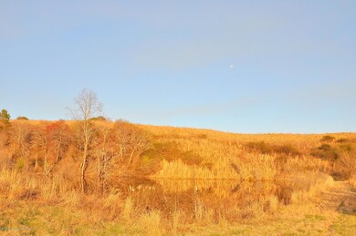 0 County Road 202 unit 14-489, Crane Hill, AL 35053 - photo 6