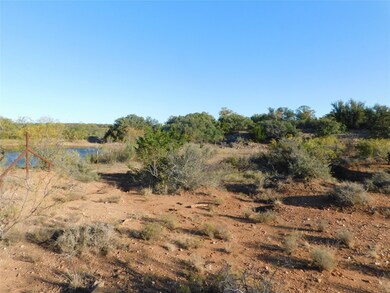 Tract 3 County Road 131, Brownwood, TX 76801 - photo 4
