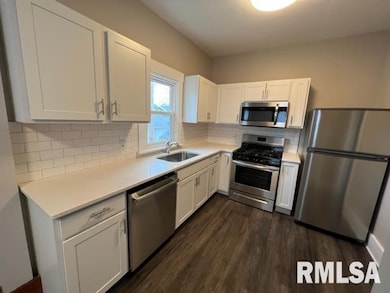 1117 E Colorado St, Davenport, IA 52803 - photo 3