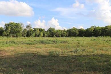 0 Massey Ranch Rd, Manvel, TX 77578 - photo 2