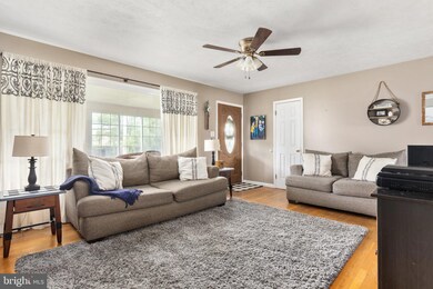 300 Aileen Ave, Strasburg, VA 22657 - photo 7