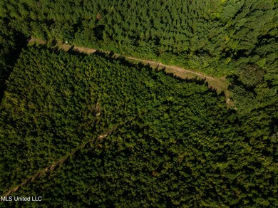 DJI_0356