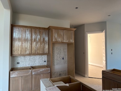 381 Jereth Crossing, Castroville, TX 78009 - photo 4