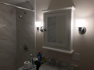 118 Langley Rd unit 1, Newton Center, MA 02459 - photo 6