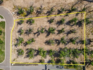 24616 S 204th Wy-21