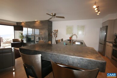 1509 Cliffs, Wintergreen Resort, VA 22967 - photo 7