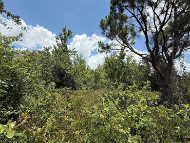 0 Snug St unit MFROK225184, North Port, FL 34286 - photo 4