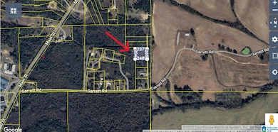 0 Garrett Rd, Hayneville, AL 36040 - photo 2