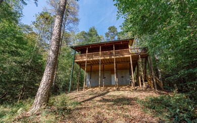 Additional View